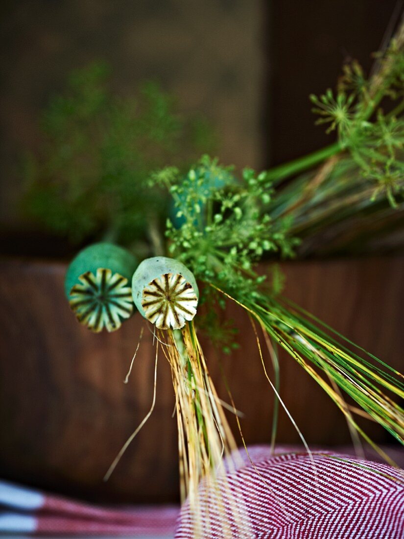 Poppy seed heads and flower spikes in a wooden bowl