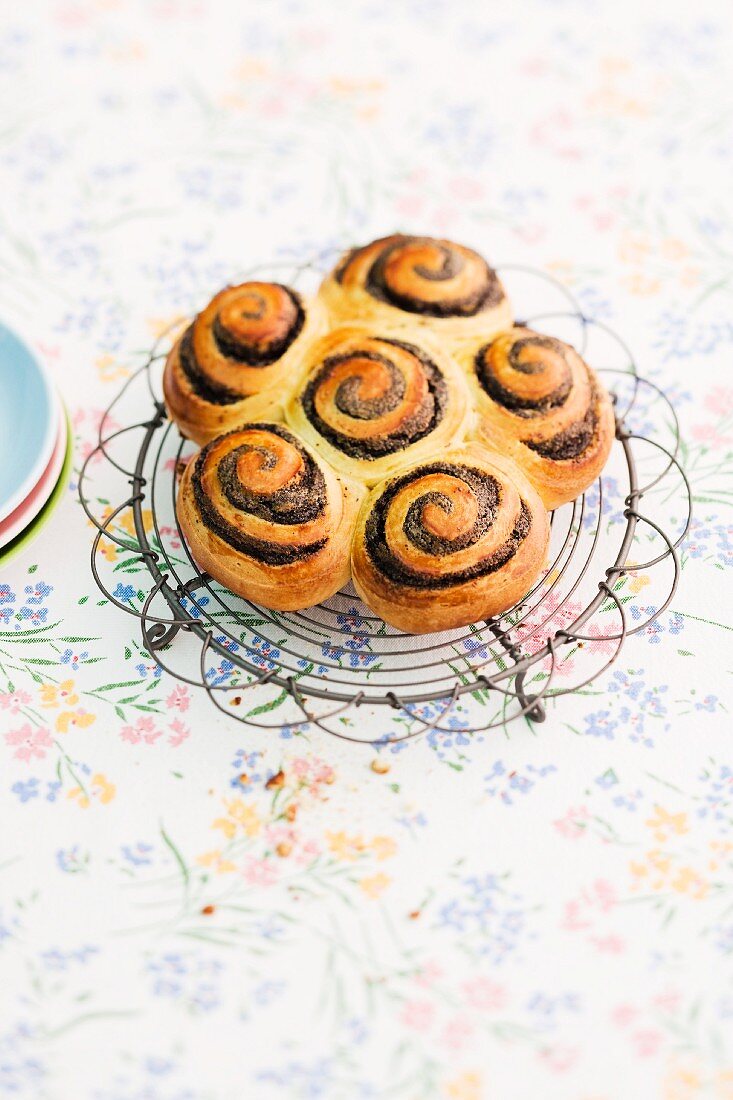 Mohnschnecken auf Kuchengitter