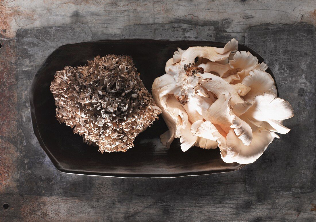 A plate of fresh mushrooms