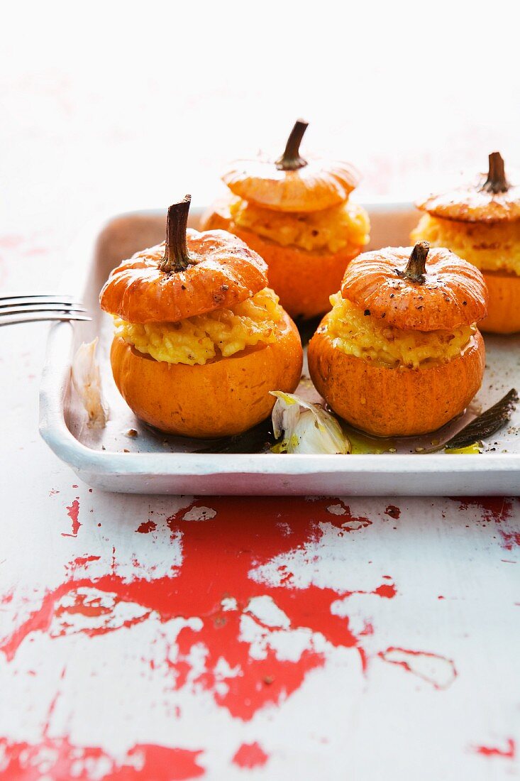 Mini pumpkins filled with risotto