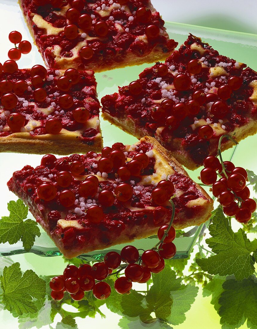 Tray-baked redcurrant cake (yeast dough) with quark topping