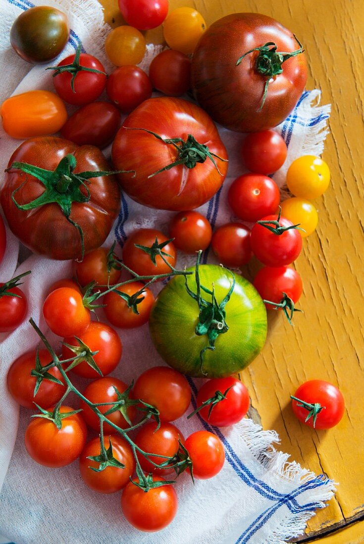 Verschiedene Tomatensorten auf Geschirrtuch