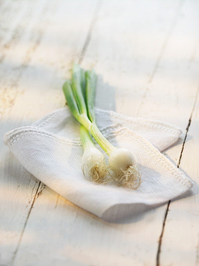 Spring onions on a cloth