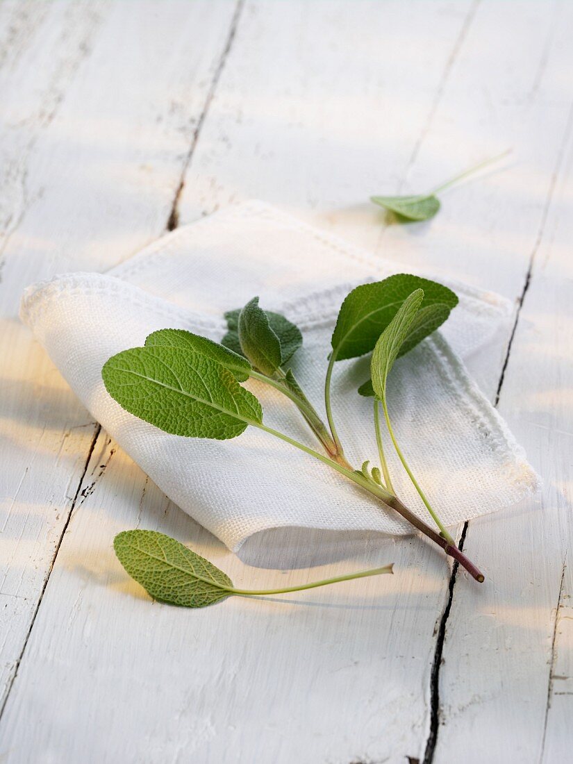 Fresh sage on a cloth