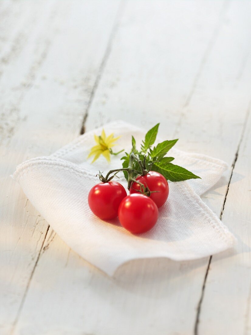 Cherry tomatoes with leaves and flowers on a cloth