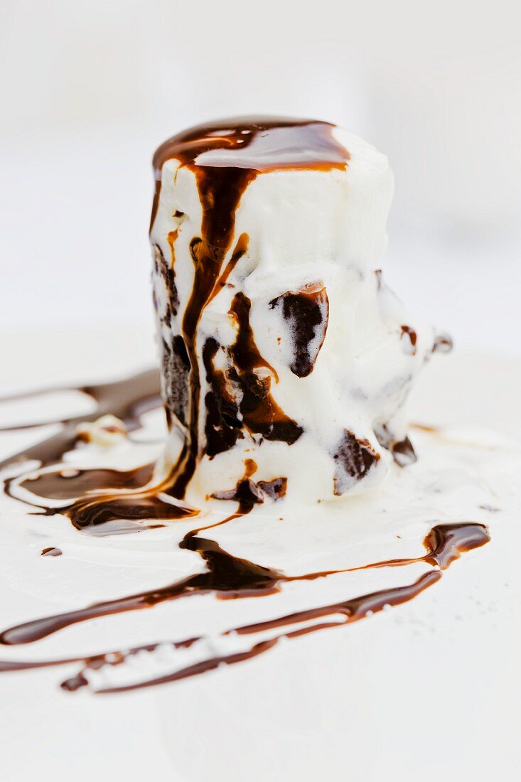 A melting yoghurt and chocolate ice cream with chocolate sauce