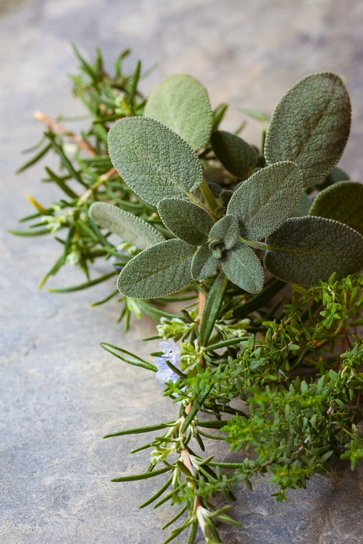 A bunch of herbs featuring rosemary, thyme and sage