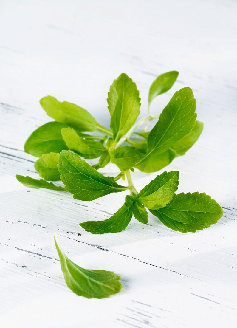 Stevia