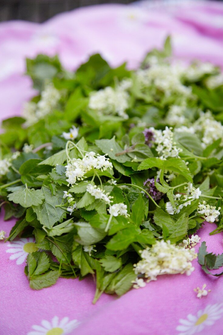 Fresh wild herbs and flowers for a wild herb dish