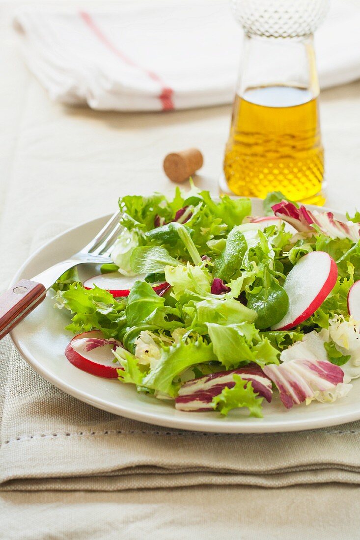 Frischer Salat mit Radieschen, Kopfsalat und Brunnenkresse
