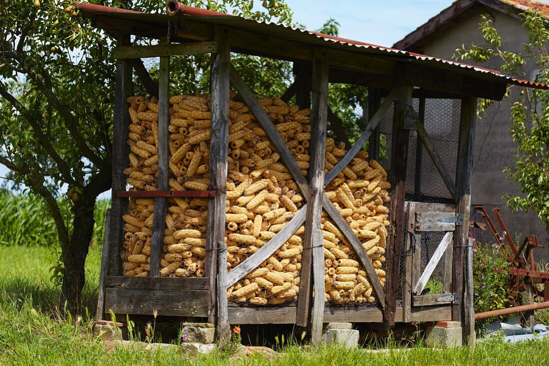 Hütte zur Aufbewahrung von Maiskolben in Frankreich