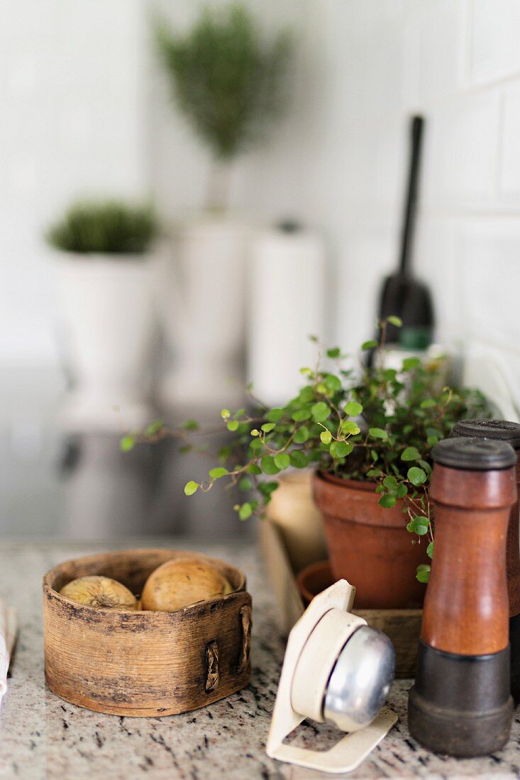 Retro, wooden salt and pepper grinders next to onions in vintage wooden dish