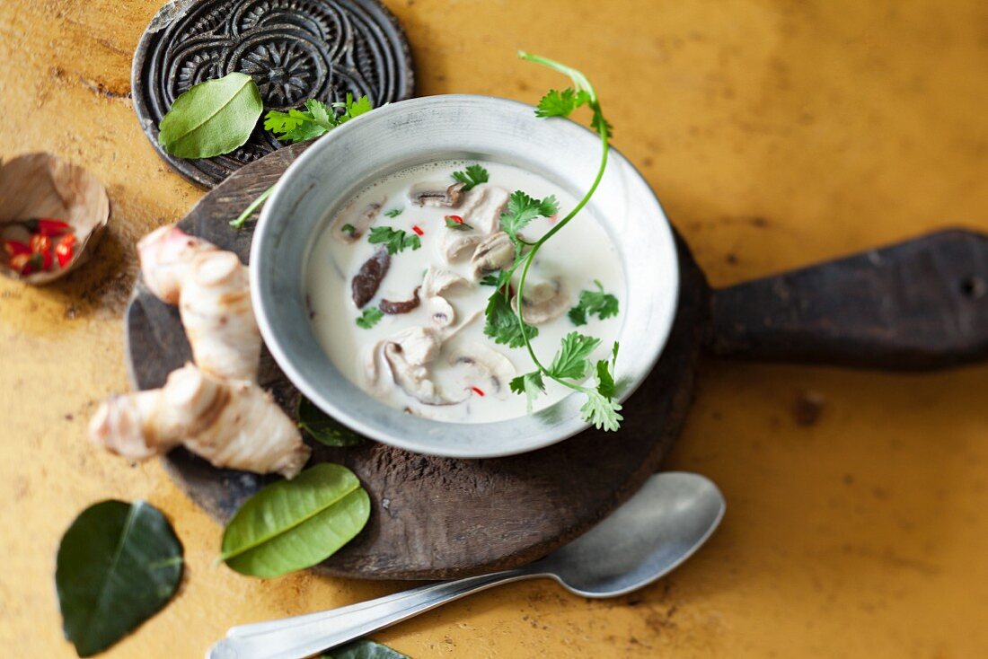 Coconut soup with mushrooms (Thailand)