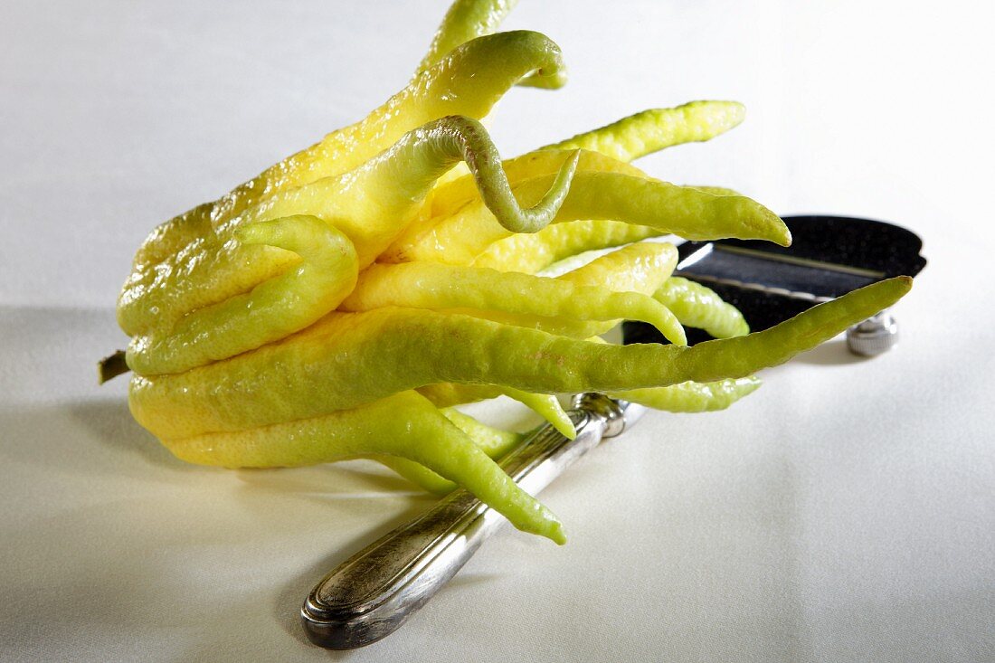 Buddha's hand (Citrus medica var. Sarcodactylis) with a slicer