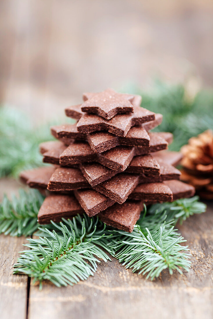 Weihnachtsbaum aus Schokoladenplätzchen auf Tannenzweig