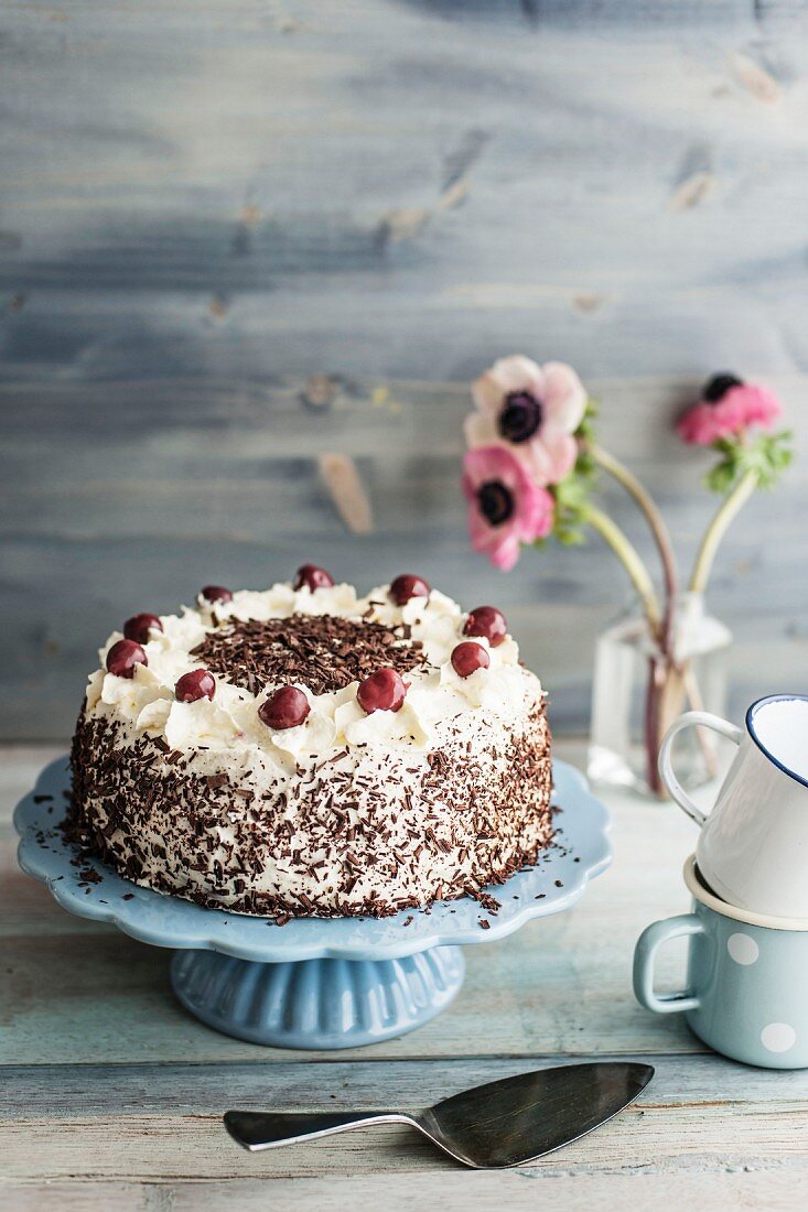 Black Forest Gateau on a light blue cake stand