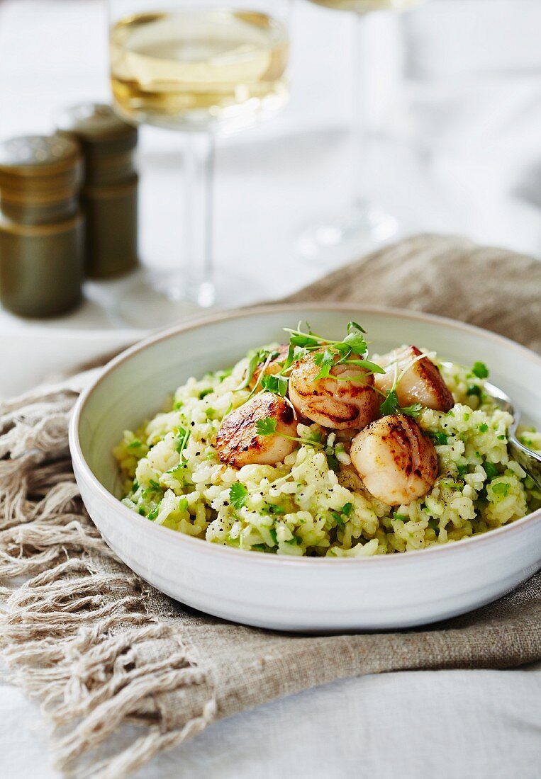 Asparagus risotto with scallops