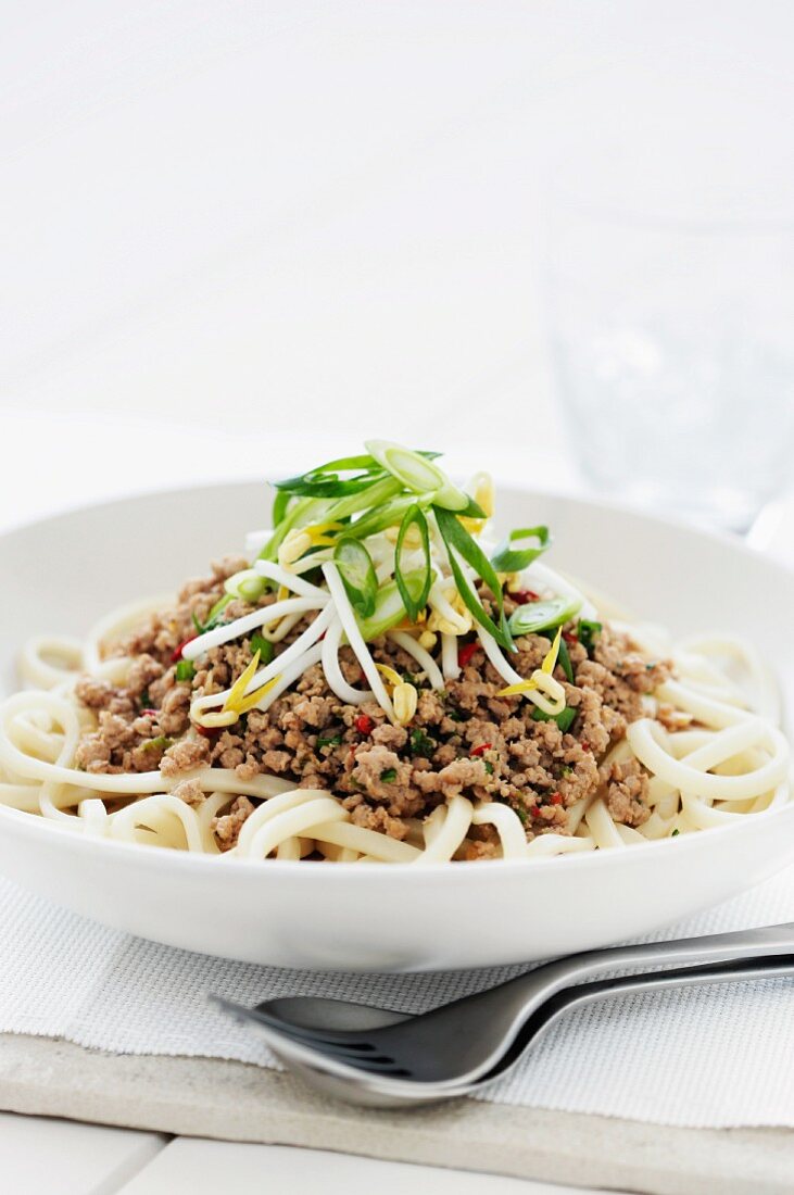 Udon noodles with pork