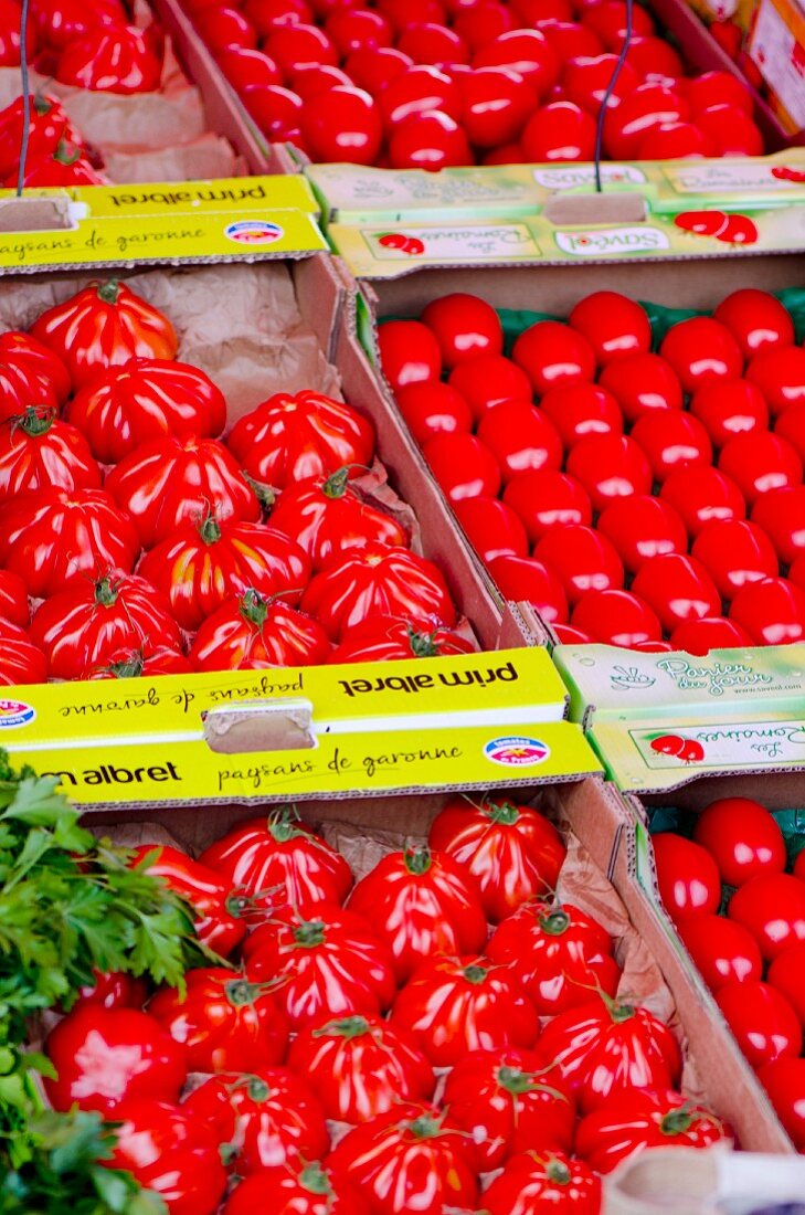 Steigen mit verschiedenen Tomaten auf einem Marktstand