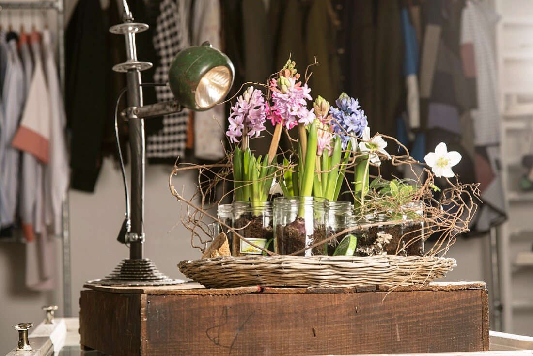 Blooming spring flowers planted in jam jars and lit by nostalgic table lamp