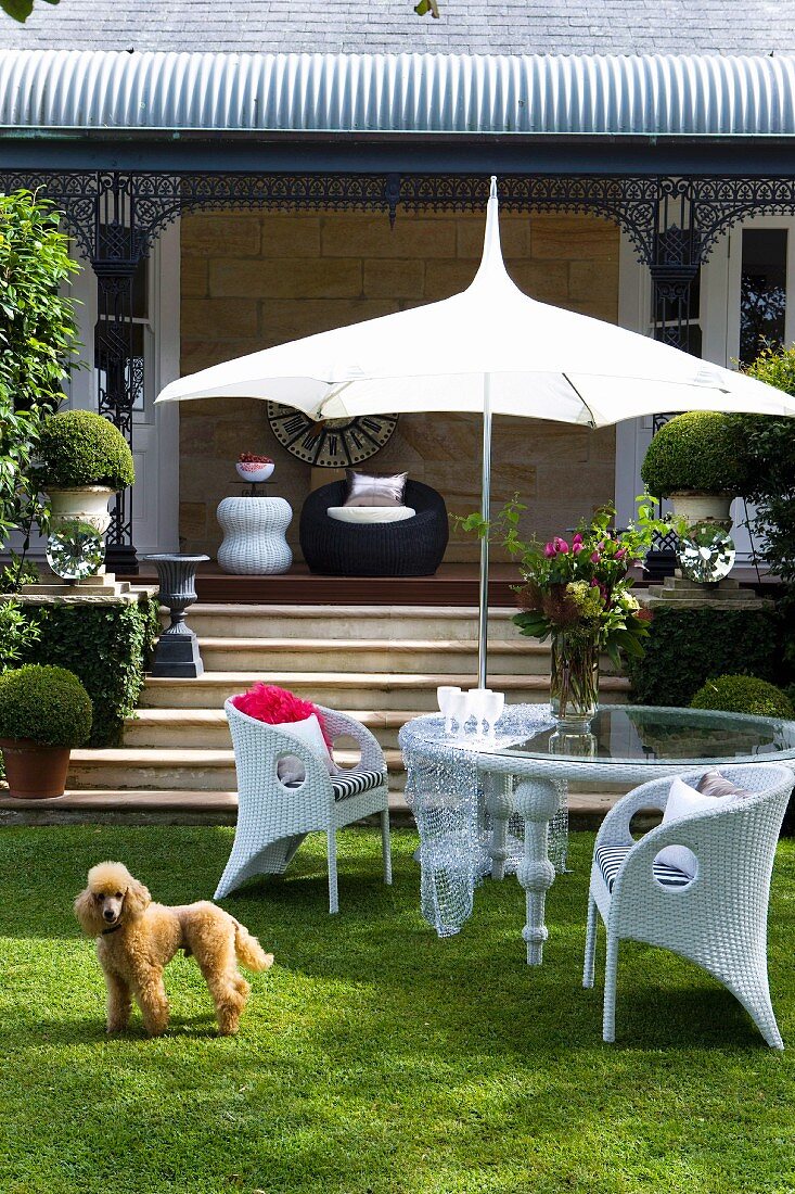 White wicker chairs and glass table below parasol in front of veranda steps with dog on lawn in foreground