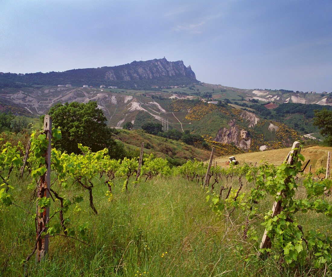 Blick auf den Monte Titano, San Marino