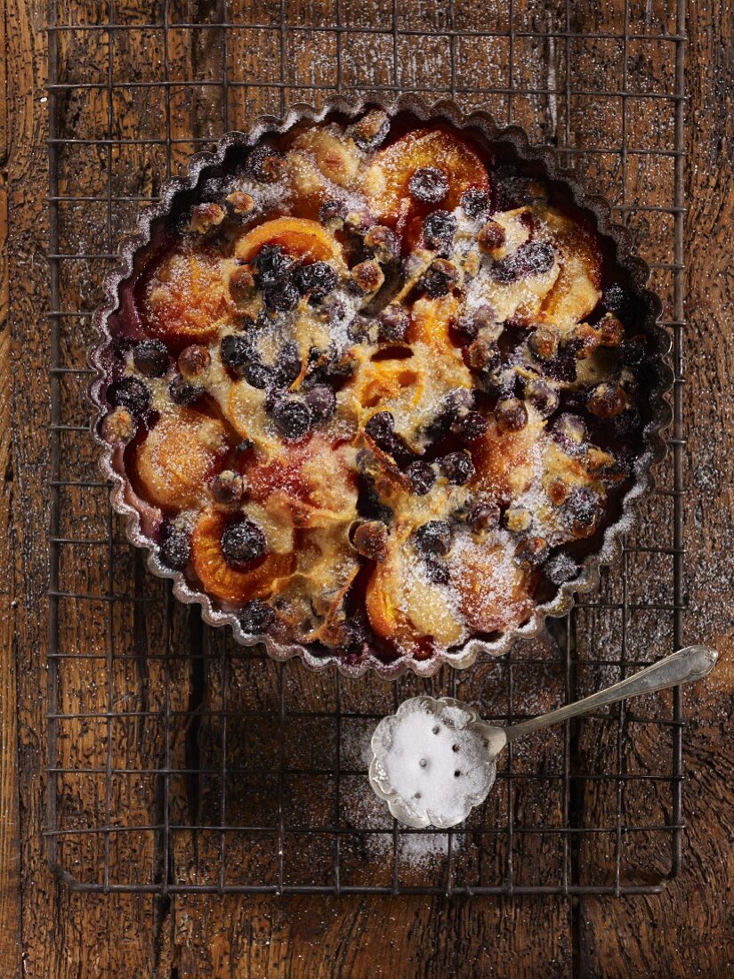 Apricot and blueberry clafoutis dusted with icing sugar in a tart tin on a wire rack