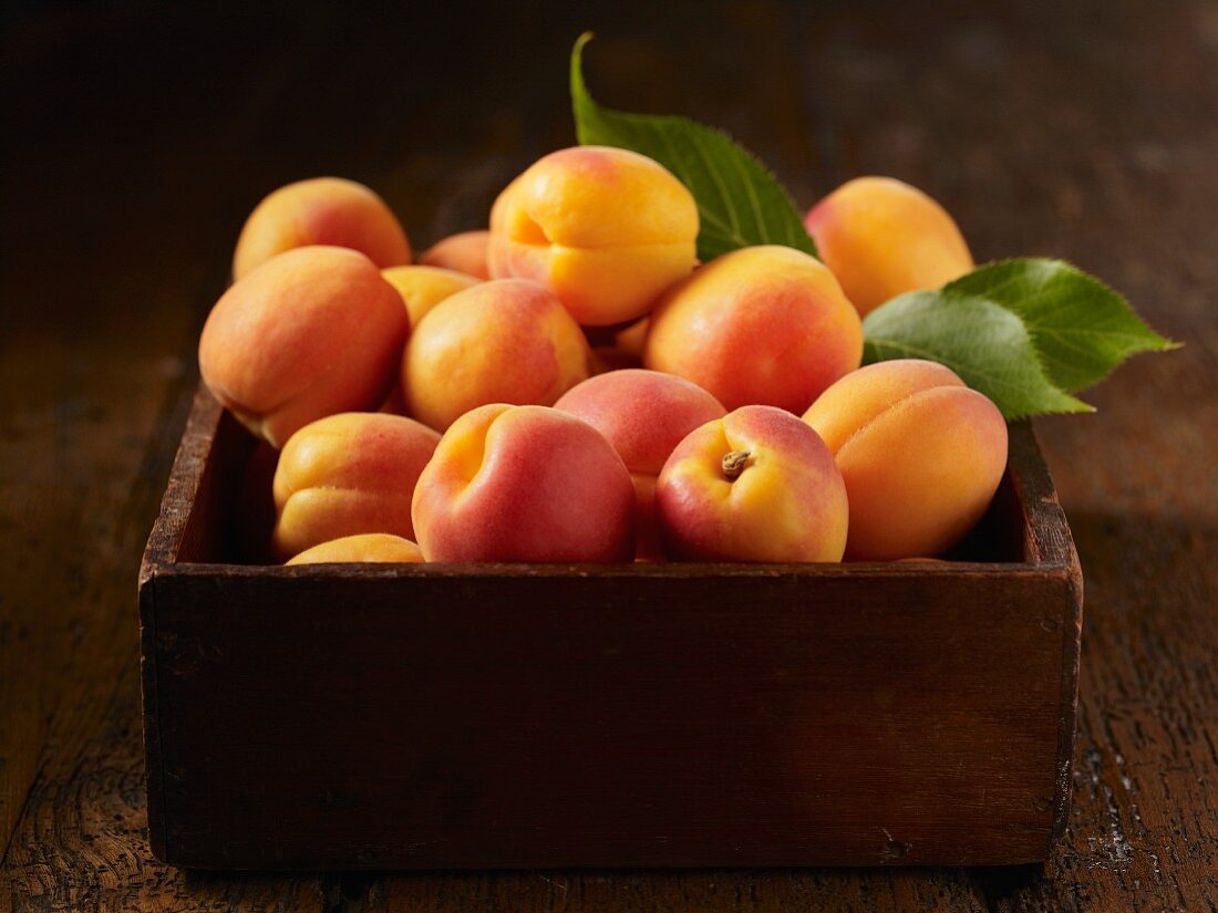 A wooden box full of fresh apricots with leaves