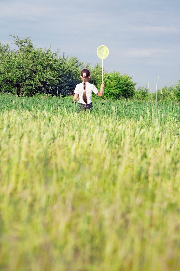 Rear view of a young girl catching butterflies in a field