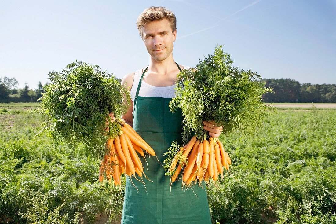 Bauer hält zwei Bündel frisch gepflückte Karotten