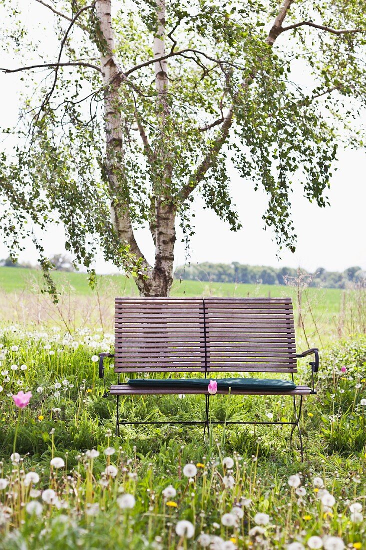 A wooden bench in a field