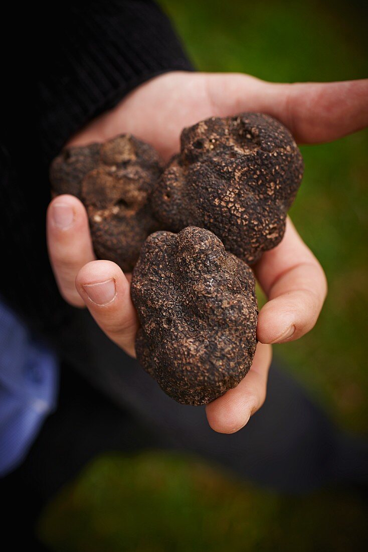 Three truffles