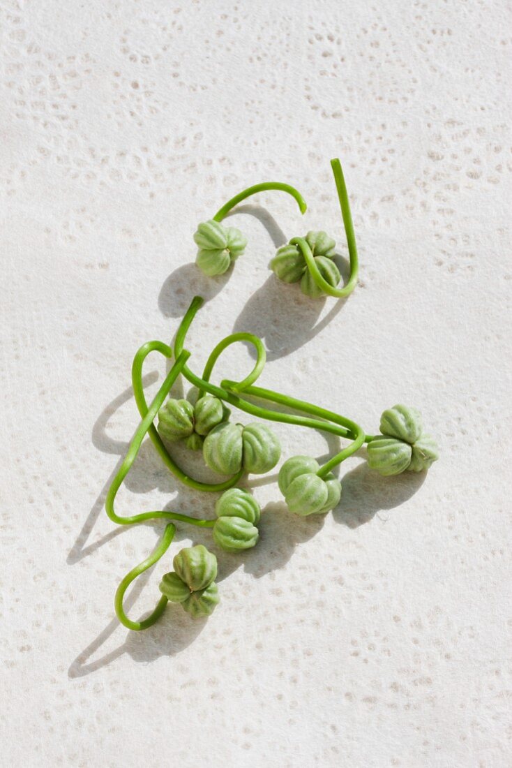 Nasturtium seeds on a white surface