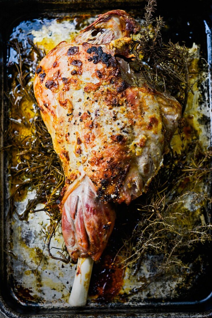 Roast leg of lamb with rosemary in a roasting tin