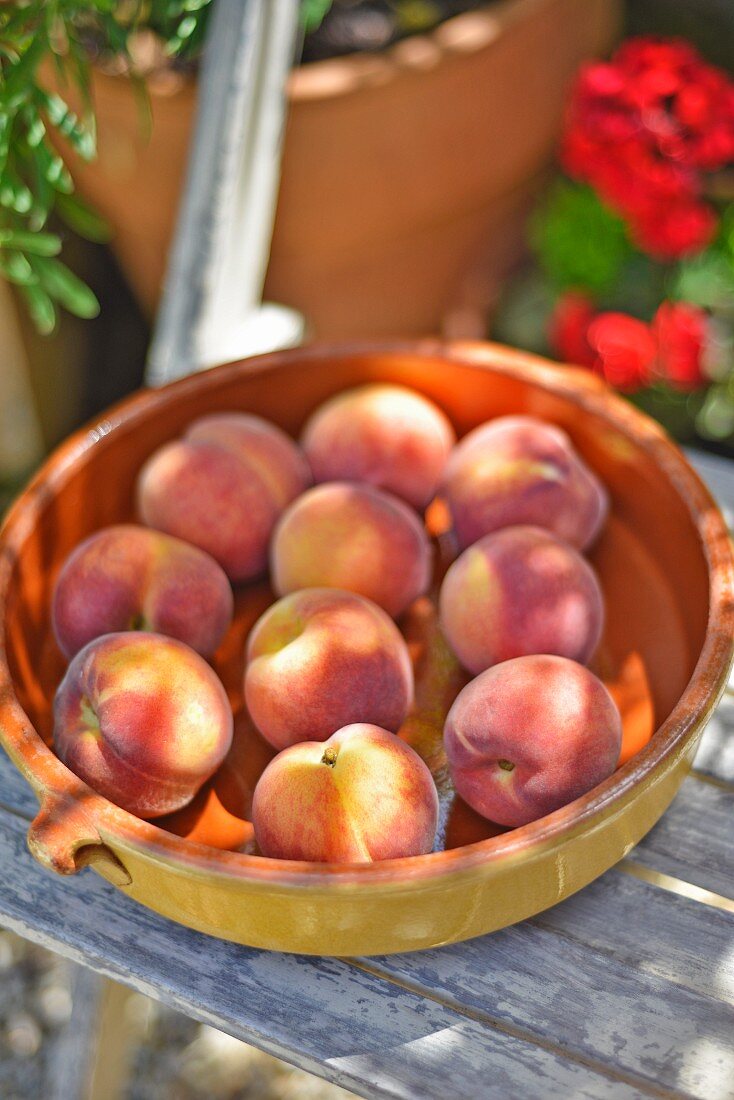 Schale mit frischen Pfirsichen auf einem Gartenstuhl