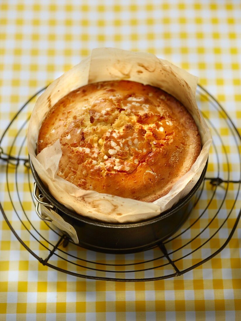 Gateau De Mamie (yeast cake, France) in a springform tin