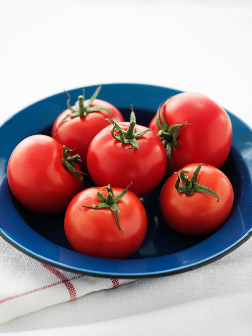 Tomaten in blauem Teller