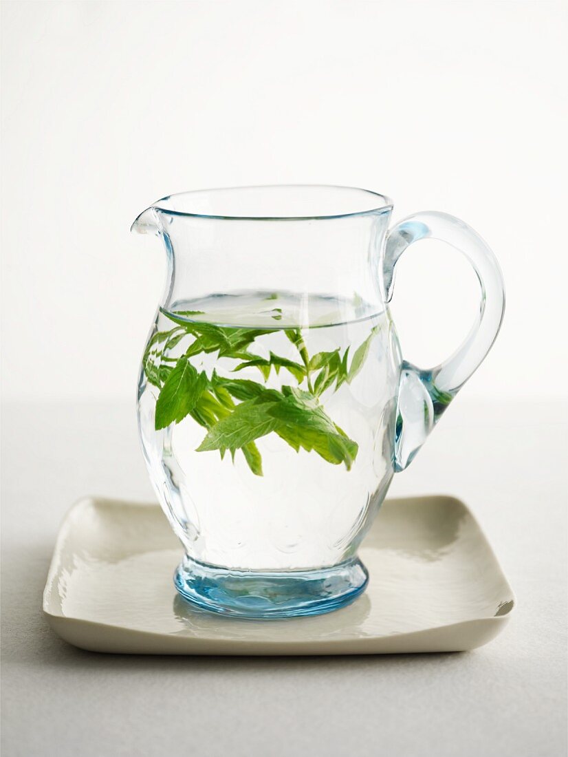 Fresh herbs in a jug of water