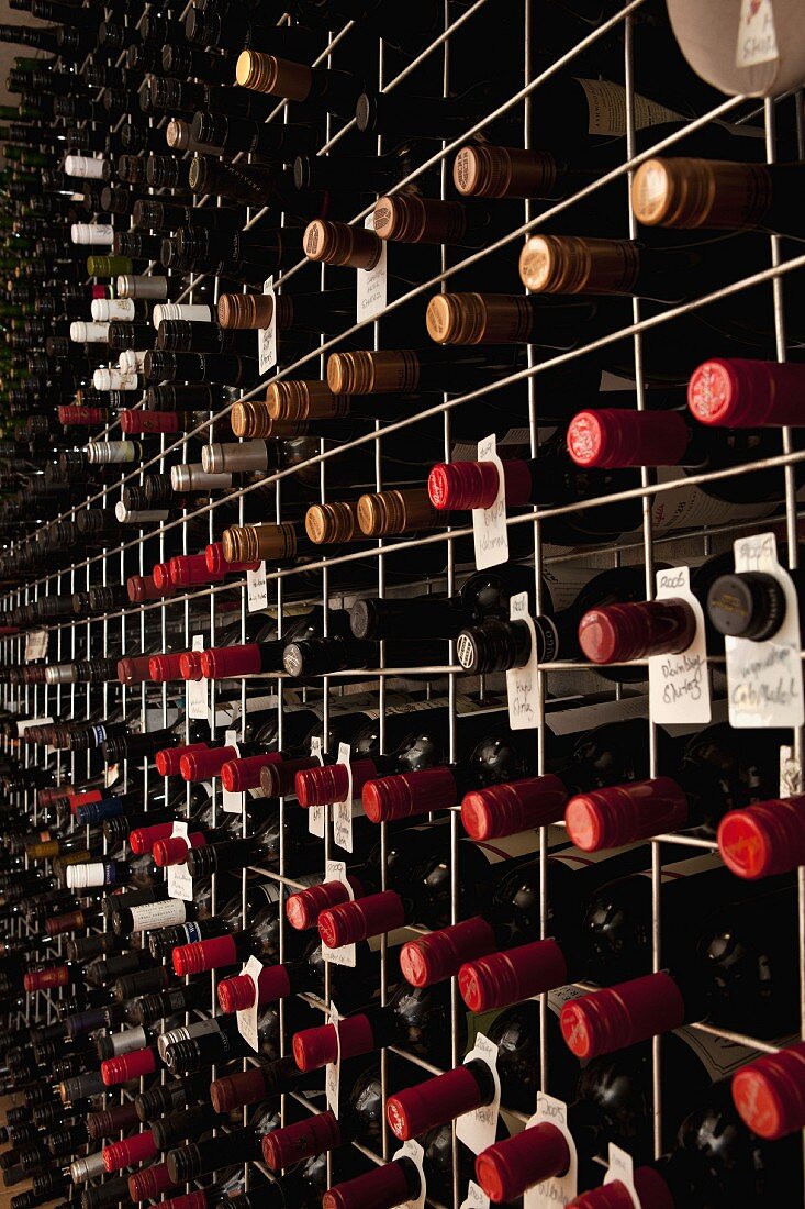 Bottles of wine on a shelf in a cellar