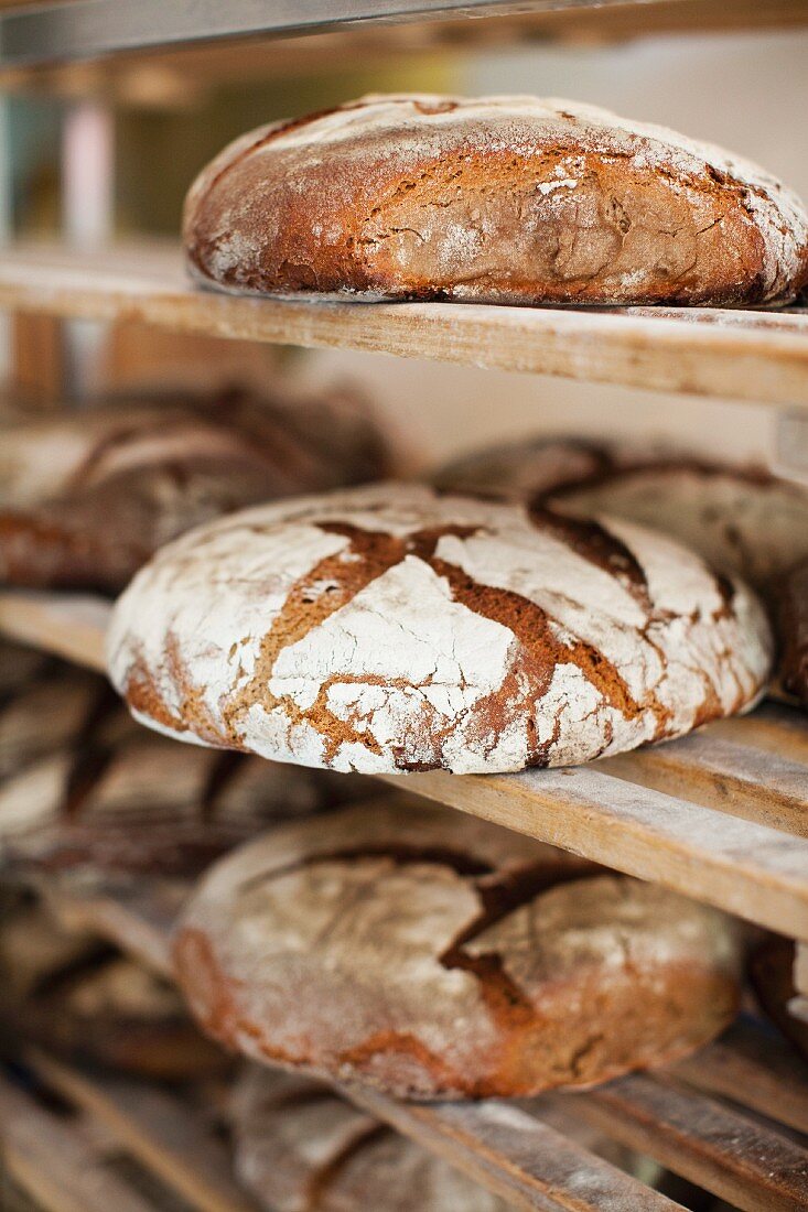 Frisch gebackene Brote im Bäckereiregal