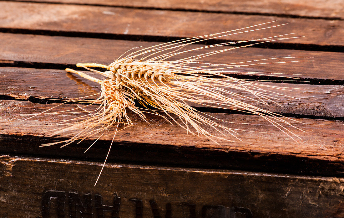 Ears of wheat on a wooden crate