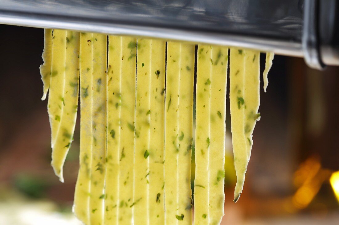 Homemade herb tagliatelle in a pasta machine