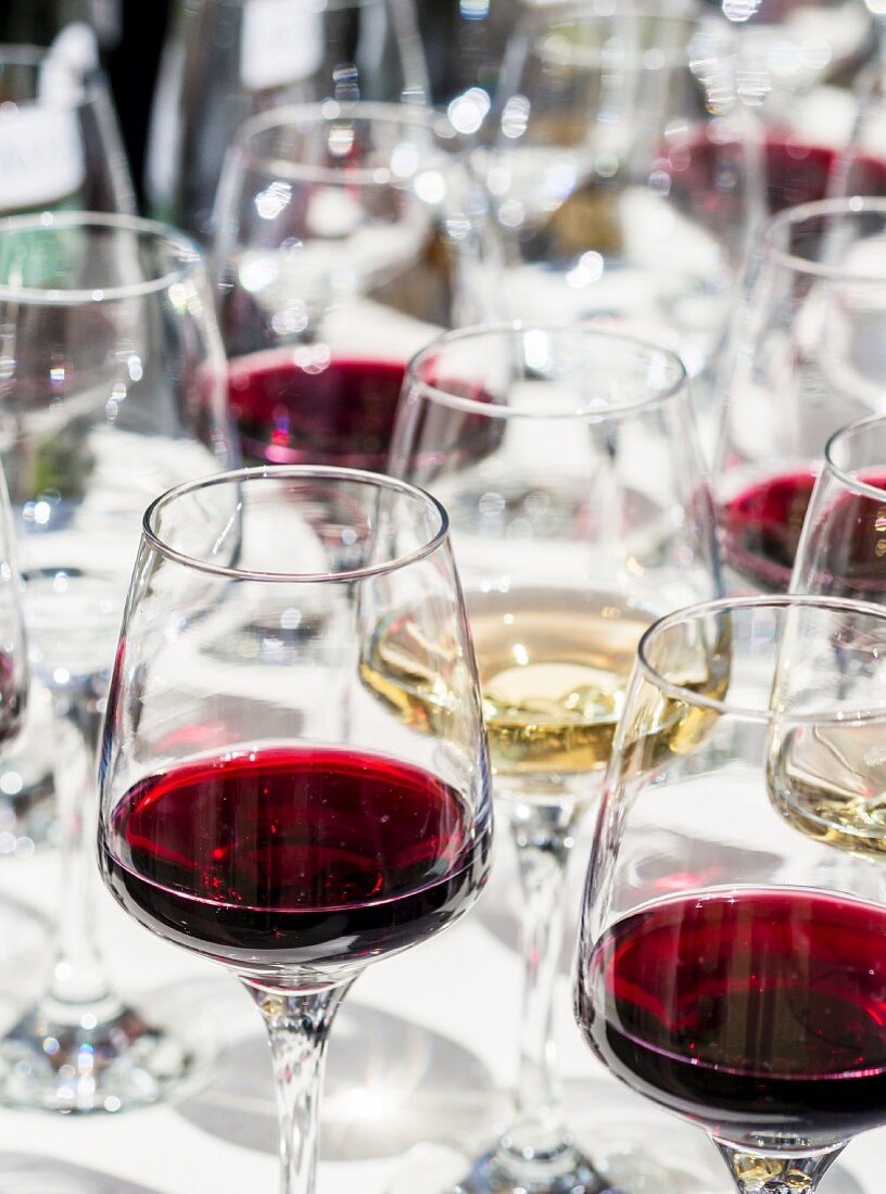 Glasses of red and white wine for a wine tasting session at the annual wine festival in Tbilisi (Georgia)