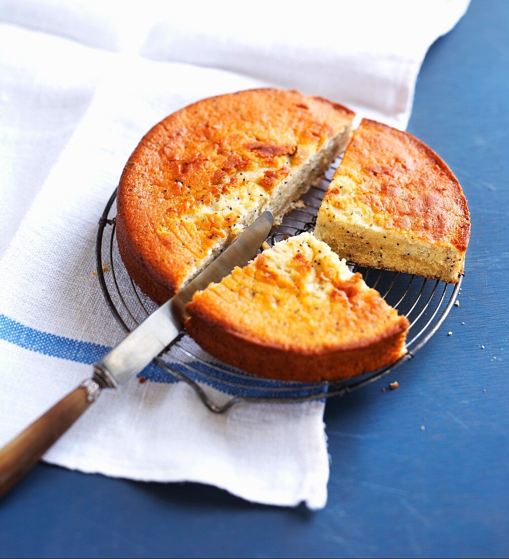 Lemon cake with poppy seeds on a wire rack