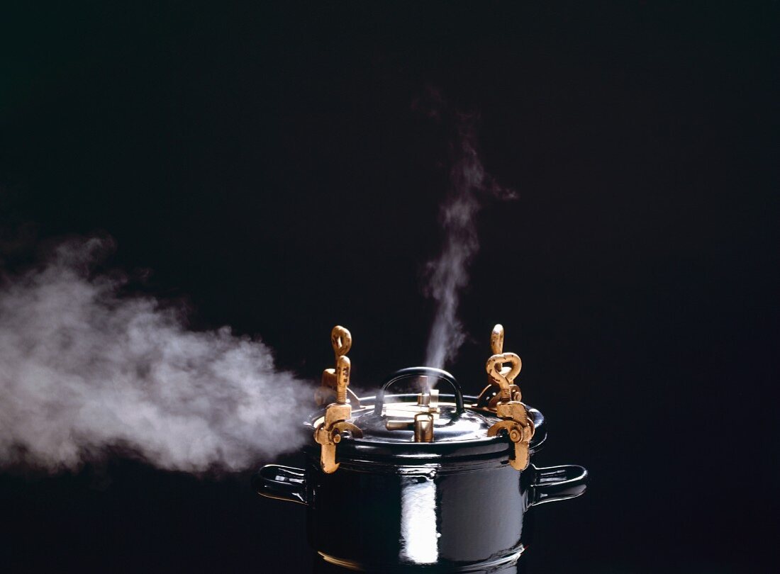 Steaming Pressure Cooker