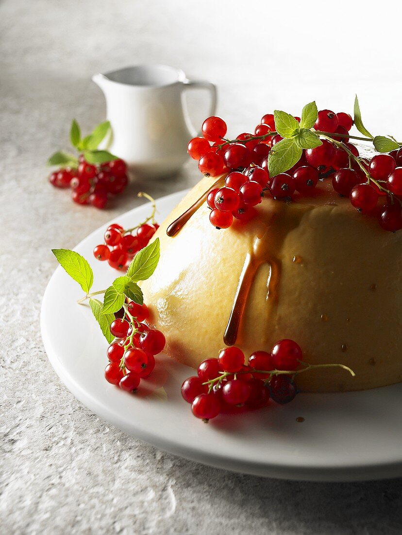 Apricot and yoghurt jelly with honey and redcurrants