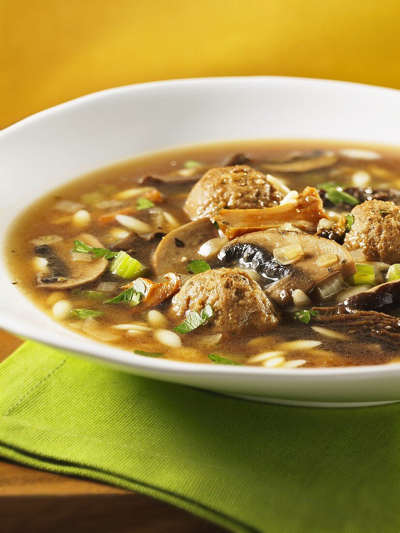 Wild mushroom soup with orzo pasta and meat dumplings