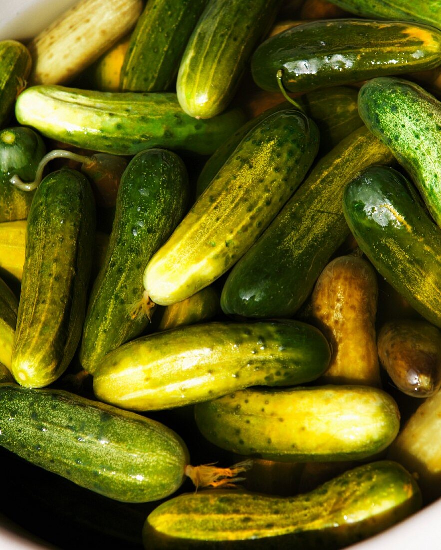 Cucumbers in Pickling Marinade