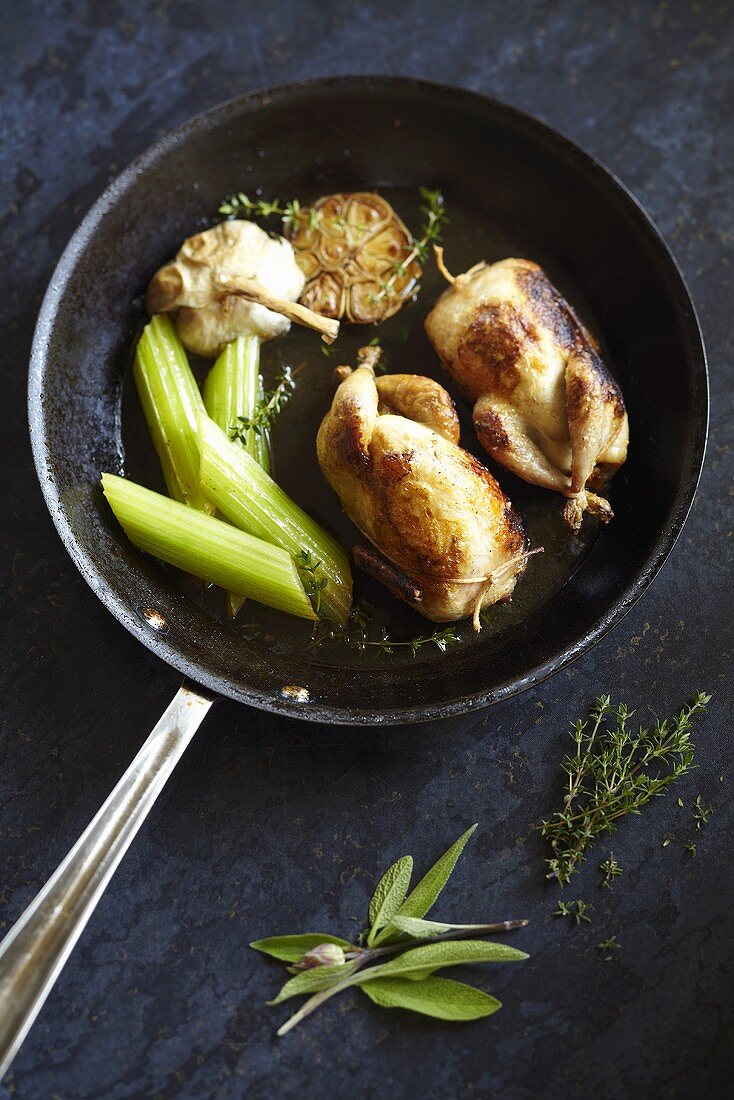 Quail with garlic and celery in a pan