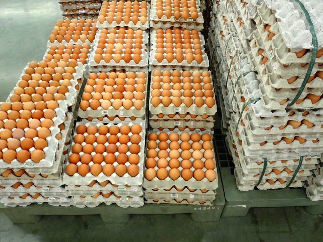 Brown eggs in egg trays in a supermarket